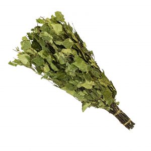 Birkenreisig - Bund | Jansen Spa