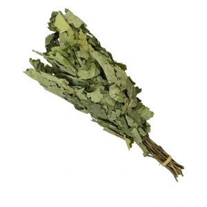 Eichenreisig - Bund | Jansen Spa